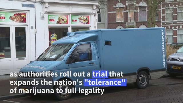 Trial in Dutch coffee shops to sell legally grown cannabis