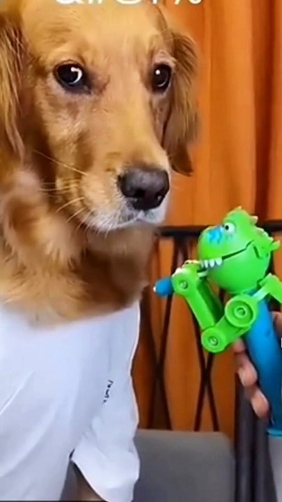 #dog#funnyshorts #lolipop