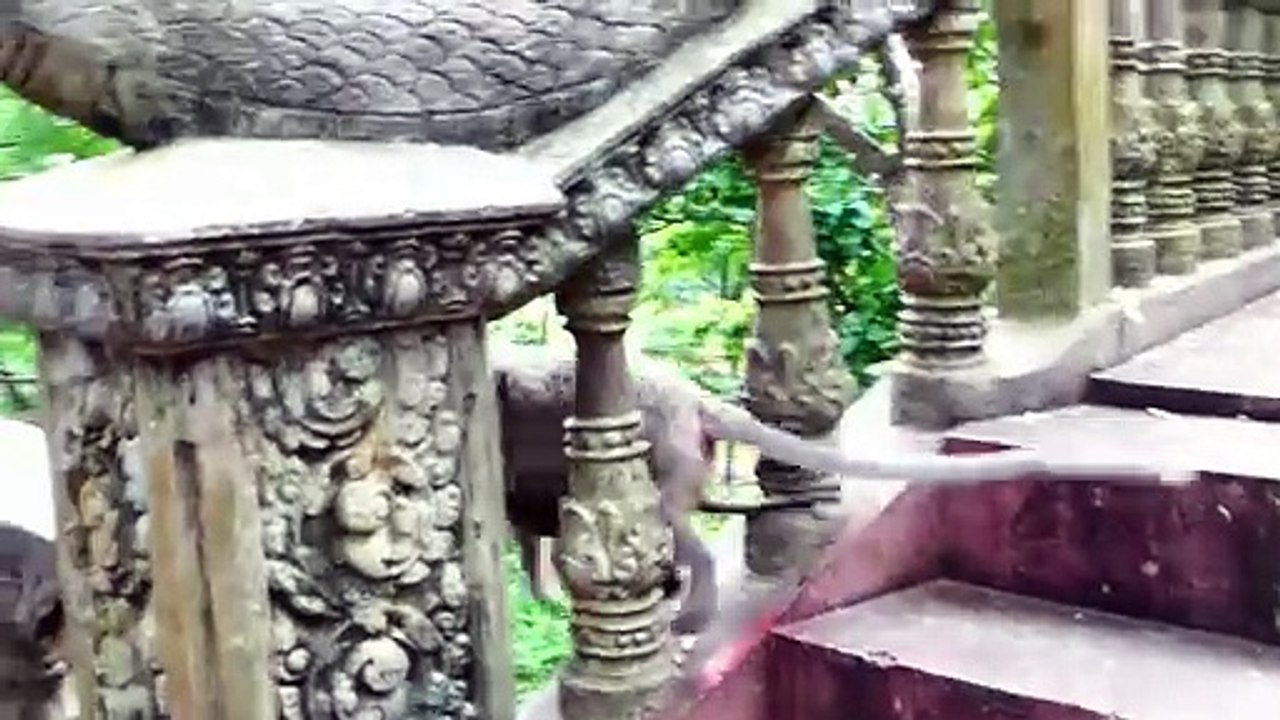 Malika Does Rapid Example To Let Baby Monika Tracking, Malika Does Rapid Actions With Malika (720p_25fps_H264-192kbit_AAC)