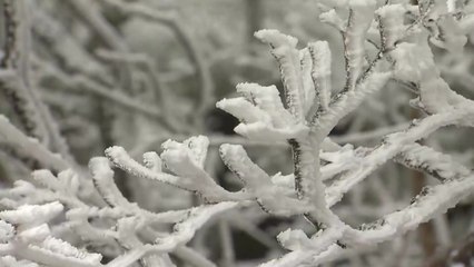 [날씨] 올겨울 최강 추위...서울 아침 -12.3℃, 서해안 폭설 / YTN