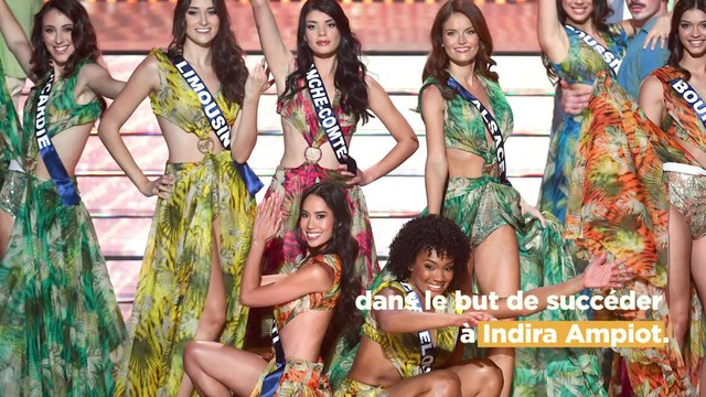 Miss France 2024 - Les internautes surpris de voir Sylvie Tellier dans le concours