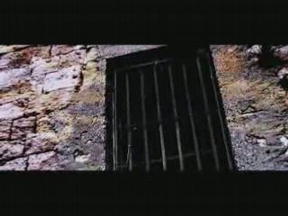 We be_concour wax tailor