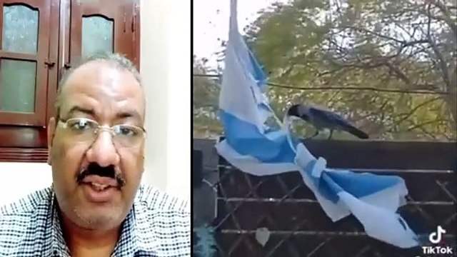 غراب يمزق علم اسرائيل ويتحدى الكيان الصهيوني سبب هذا الفعل