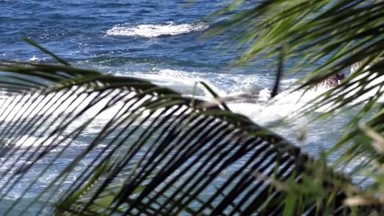 2 MIGRANTS RESCUED BOAT CAPSIZES OFF TRINIDAD