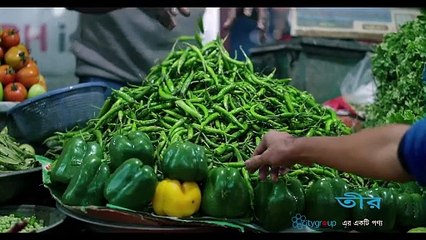 TEER - Mustard Oil - Teaser