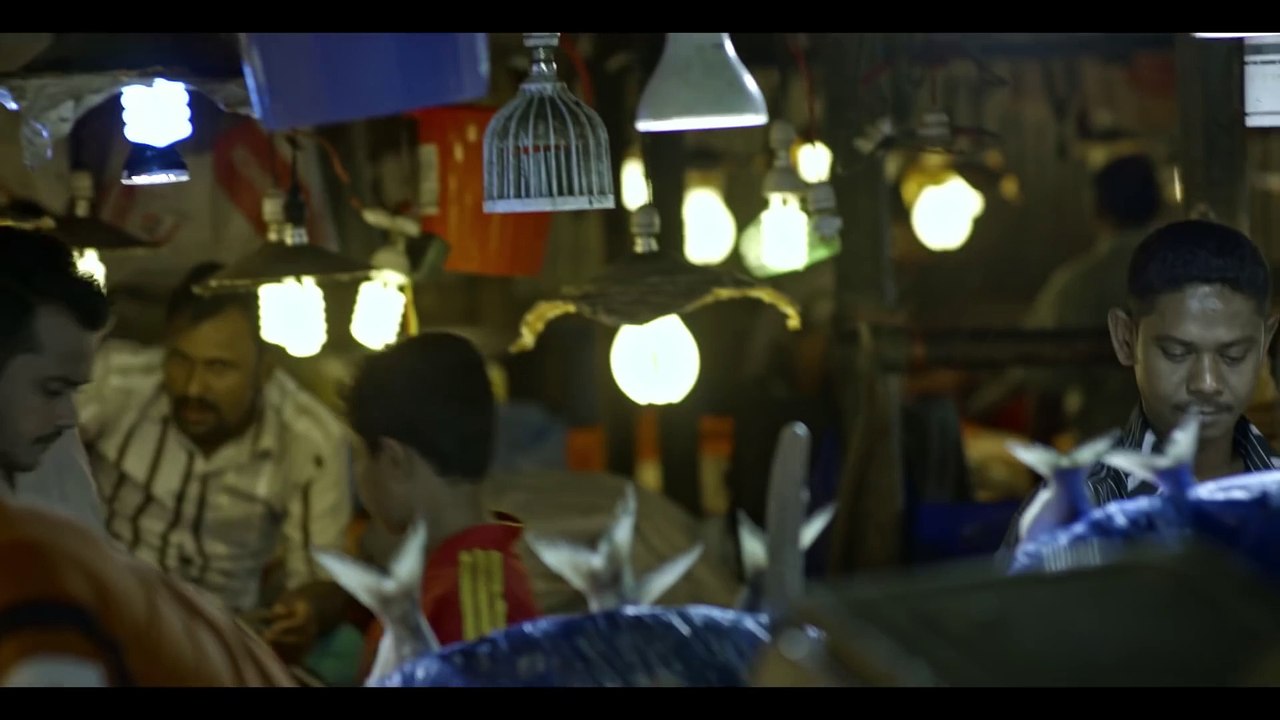TEER Mustard Oil - তীর সরিষার তেল - (Love You Maa)