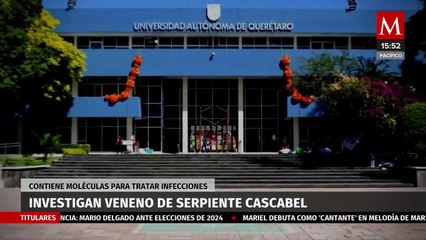 El veneno de la serpiente de cascabel como potencial tratamiento antibacteriano