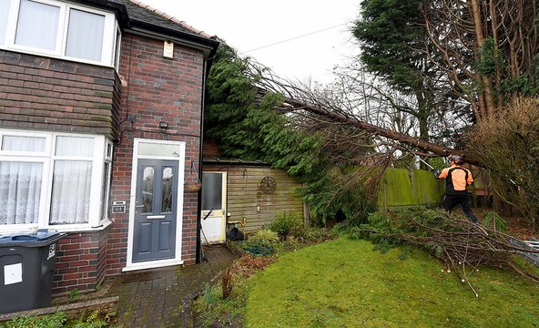Clean-up begins but nobody hurt after tree fell on home during strong winds