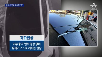 싼 게 비지떡?…중국 생산 테슬라 유리창 ‘와장창’