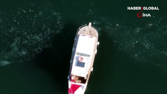 Marmara Denizi'nde korkutan görüntü