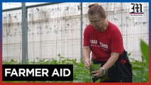 Volunteers come to aid of labor-starved farmers in Israel