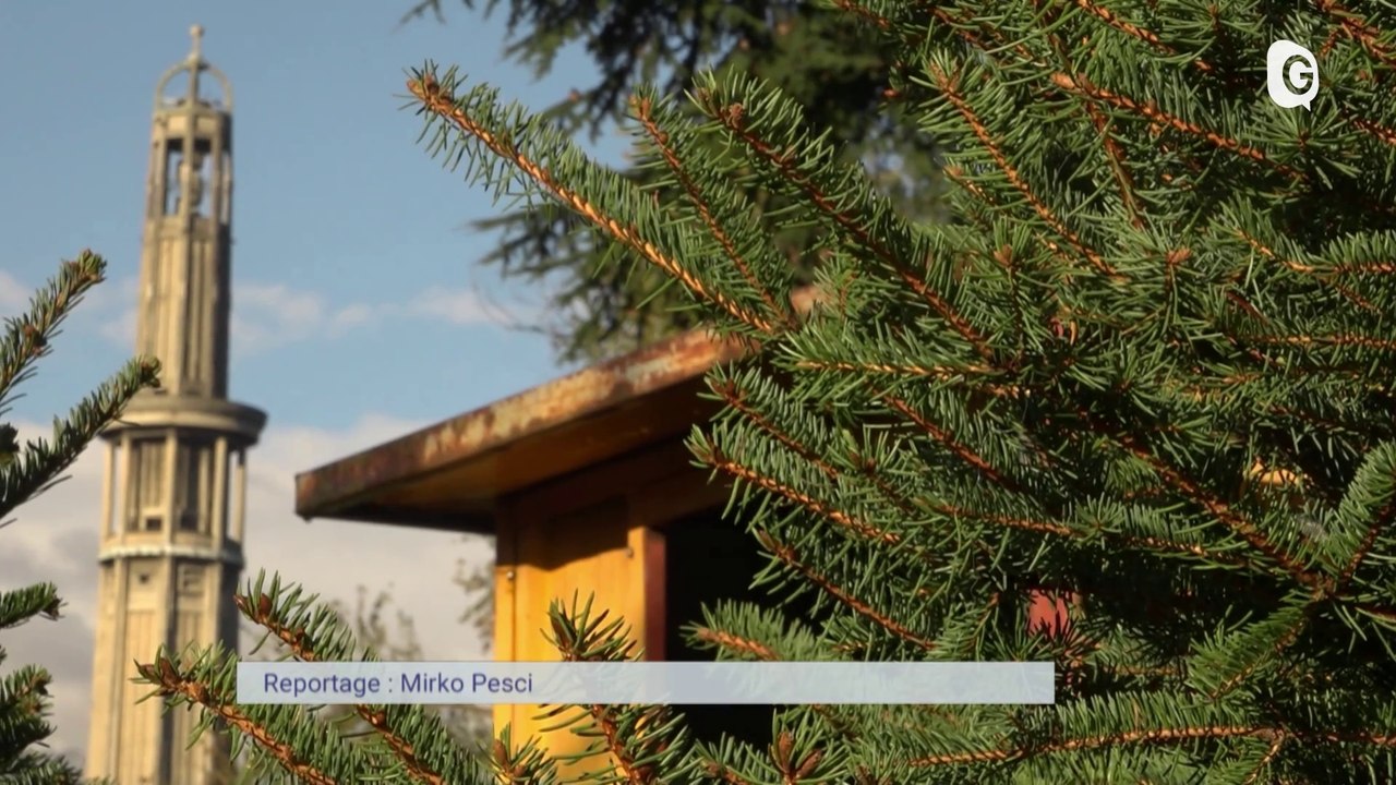 6' ENVIRONNEMENT - 17/12/23 - Tabourets Nemeton et Marché aux sapins