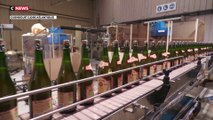 Cidre : les trois principales régions de France productrices menacées par un projet européen