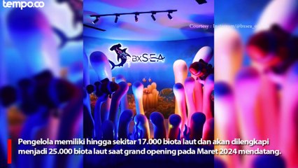 Download Video: Oceanarium BXSea Bintaro, Edukasi Biota Laut Terbesar di Asia Tenggara