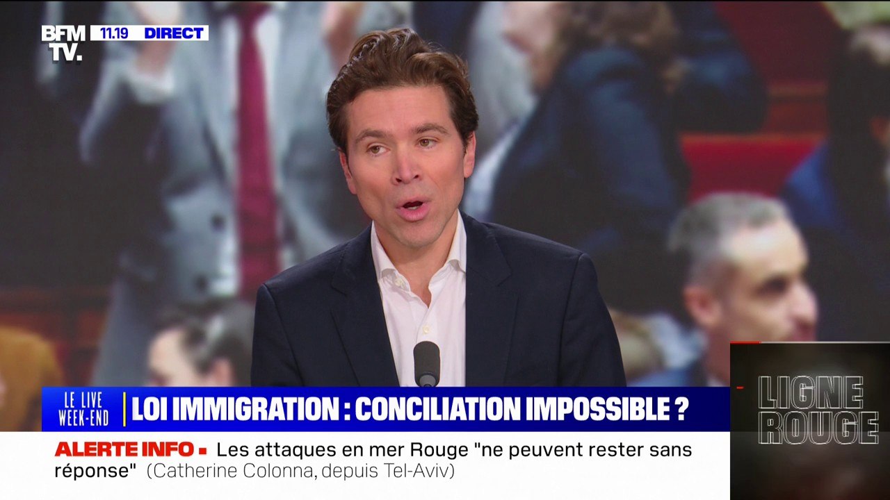 Loi Immigration: "Nous sommes favorables à une loi mais plus ferme" explique Geoffroy Didier, député européen LR