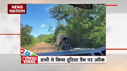 Top Viral: शिपयार्ड एरिया में नजर आई हंपबैक व्हेल, लोगों के बीच मचा हड़कंप, वायरल हुआ वीडियो