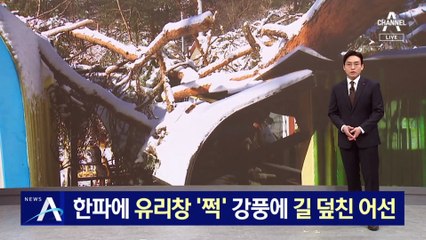 한파에 깨진 KTX 유리창, 어선은 강풍에 밀려 도로 덮쳐