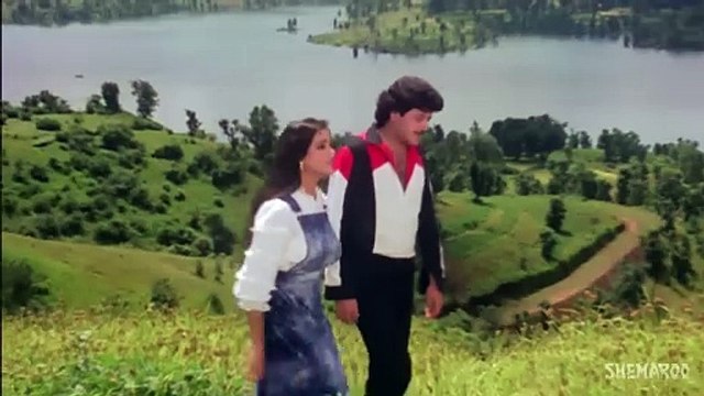 Lo Mera Naam / Alka Yagnik, Padmini Kolhapure /1982 Teri Maang Sitaron Se Bhar Doon Songs -