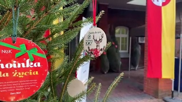 Choinka za krew. Czarnków znów pokazał, że jest wyjątkowy