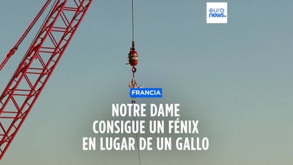 Notre Dame más cerca de su reapertura: ya ha alzado un nuevo gallo sobre la icónica aguja