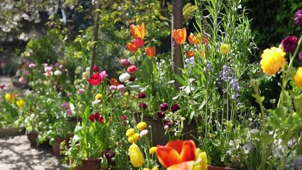 Gardening Australia episode 38 2023