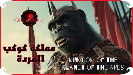 ملخص فيلم كوكب القرودKingdom of the Planet of the Apes #ملخص_افلام #MovieRecaps #BandeAnnonce #شريطاعلاني #أفلام_خيال_علمي #أفلام_خيال_علمي2024  #OfficialTrailer #officialtrailer