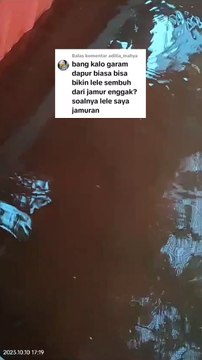 Garam dapur apakah bisa digunakan untuk budidaya ikan lele❓Terutama untuk mengobati ikan lele
