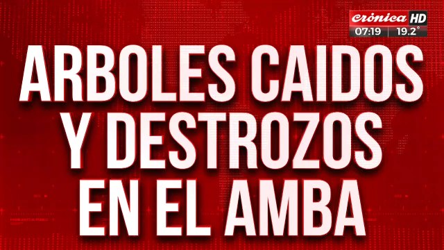 Lo que dejó el temporal, en imágenes: voladuras de todo tipo, árboles caídos, autos destrozados, heridos y cortes de luz