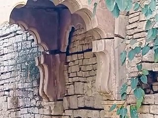 जीर्ण-शीर्ण हो रही बावड़ी, ग्रामीणों ने जताई मरम्मत की दरकार-video