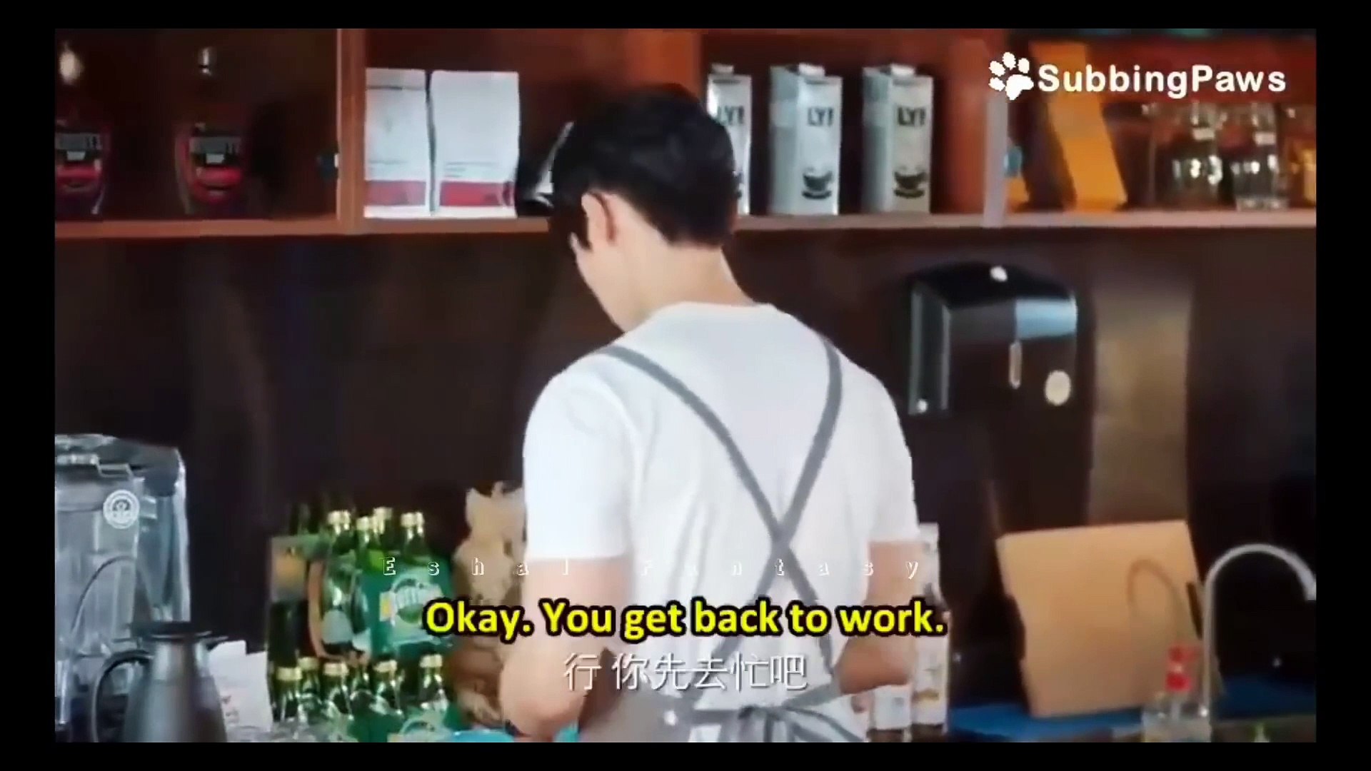 ⁣Handsome Alien Fall in love  New Korean Mix Hindi Songs 2023❤Chinese drama❤Chinese Drama Love Story