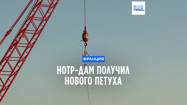 Собор Парижской Богоматери украсил новый флюгер