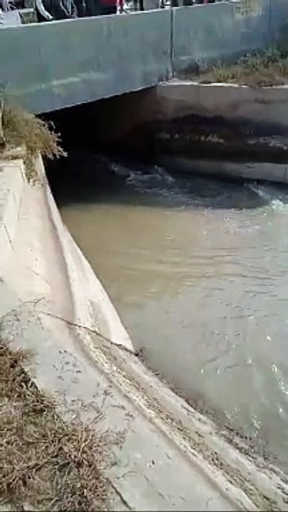 मुख्य नहर में पानी घटने से पीएस नहर को एक दिन बाद ही किया बंद, आक्रोशित किसानों ने जबरन नहर के गेट खोले
