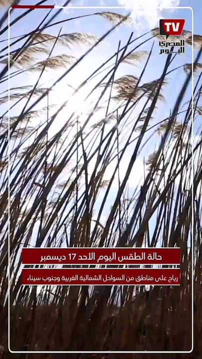 «برودة وأمطار».. الأرصاد تُحذر من حالة الطقس ال...