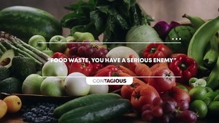 The Fresh System | Waste Less, Savor More! - Carulla Supermarket