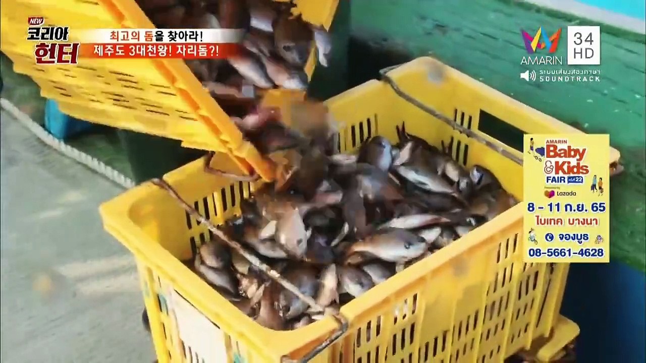 ความลับแห่งเอเชีย ชุด New Korea Hunter จับปลากระพงเล็ก