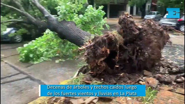 Decenas de árboles y techos caídos luego de los fuertes vientos y lluvias en La Plata