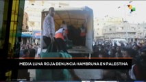 teleSUR Noticias 11:30 17-12: Media Luna Roja denuncia hambruna en Palestina