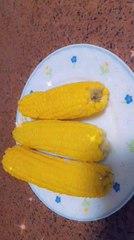 الذرة المسلوقه Boiled corn