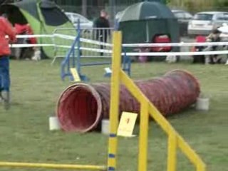 Dimanche 30.3.2008 CONCOURS D'AGILITY  CLUB CANIN BISCHHEIM