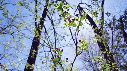 Relaxing Rock & Pop Song 🎶