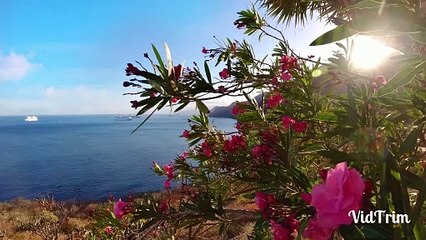 Upbeat Rock Song for a Happy Vibe 🎸