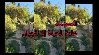 الحمدلله الحياة عادة إلا الجبال بعد الكريت(360P)