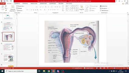 QCM 2ème Semaine de Formation 📋