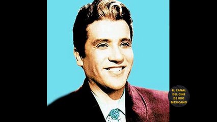 Breve Biografía Miguel Aceves Mejía