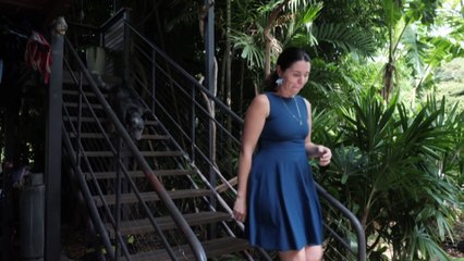 Australia's tropical cyclone season is here. This is what you need to prepare