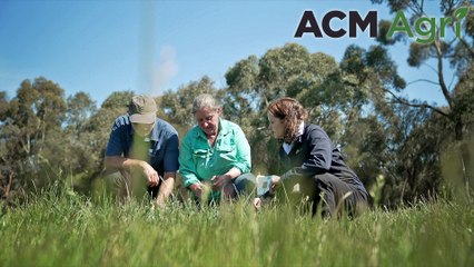 Carbon explained: livestock farming strategies and success stories