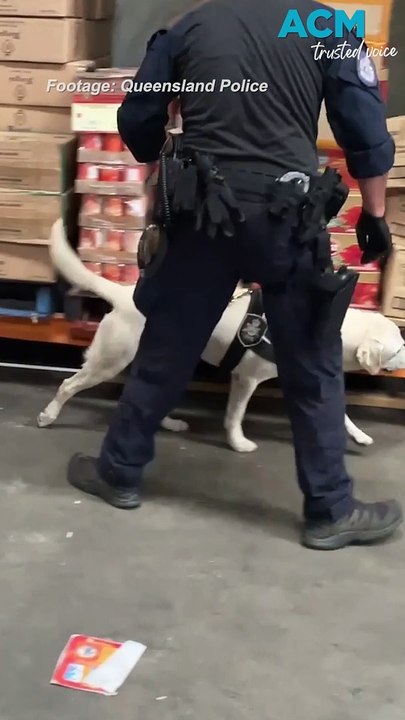 afp wa police tobacco bust AFP restrains cash and properties linked to WA man in major illicit tobacco  trafficking bust