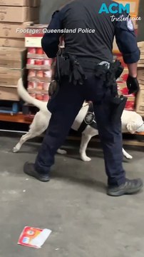 AFP restrains cash and properties linked to WA man in major illicit tobacco trafficking bust