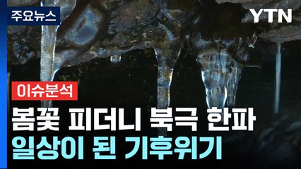 [뉴스라이더] 봄꽃 피더니 최강 한파...'극과 극' 날씨, 왜 이러나? / YTN