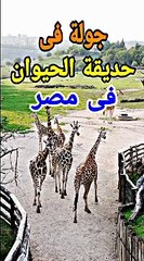 جولة في حديقة الحيوان ج A tour of the zoo in Egypt, Part 1١